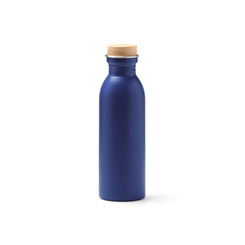 Eko termo steklenica Levu (650 ml)