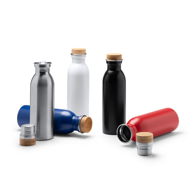 Eko termo steklenica Levu (650 ml)