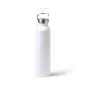 Termo steklenica Freski (1 Liter)