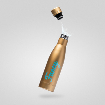 Termo steklenica Fancy (500 ml)